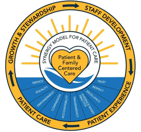 ventura county nursing professional practice model
