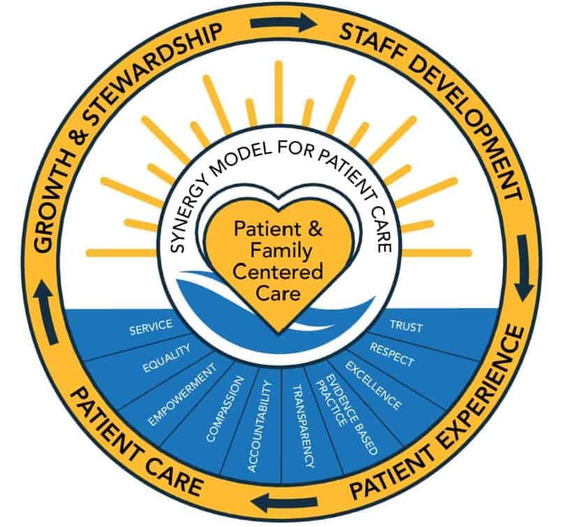 ventura county nursing professional practice model